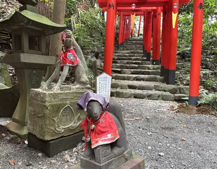 秦野　白笹稲荷神社　東末社