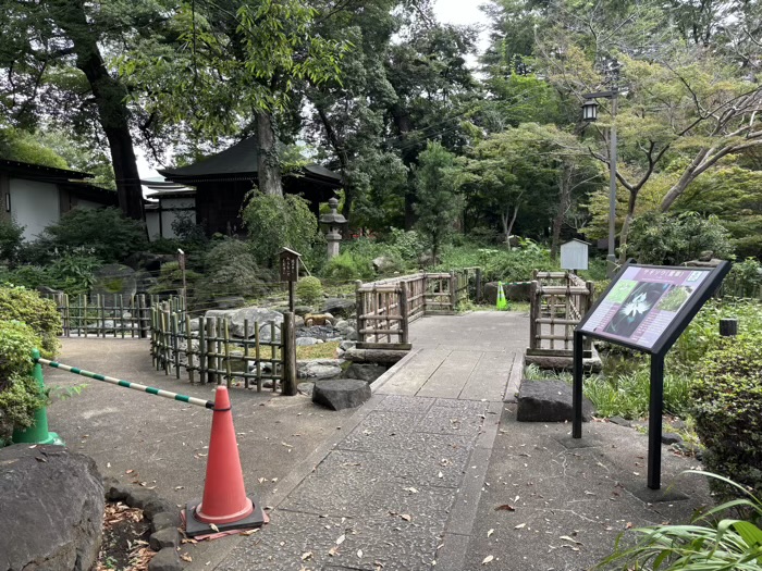 世田谷　九品仏浄真寺　鷺草園