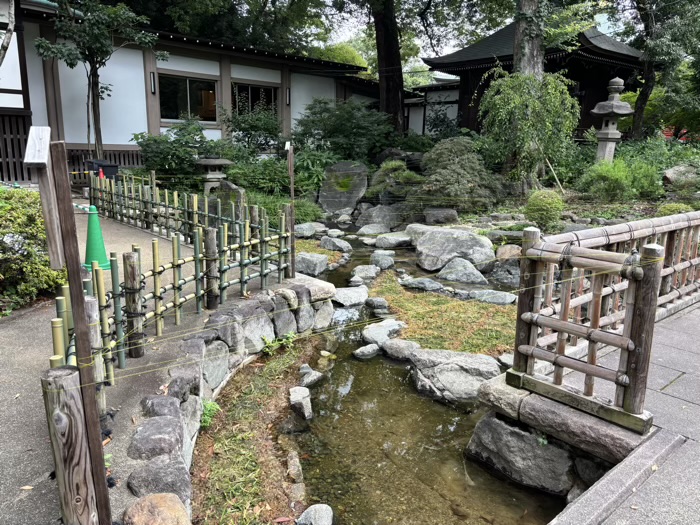 世田谷　九品仏浄真寺　鷺草園