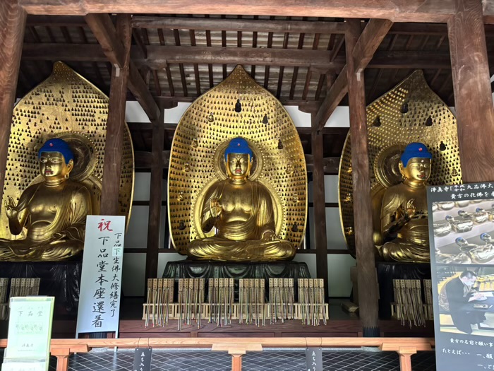 世田谷　九品仏浄真寺　九品阿弥陀如来