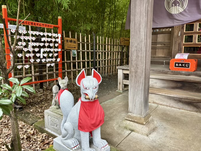 自由が丘熊野神社　夫婦松