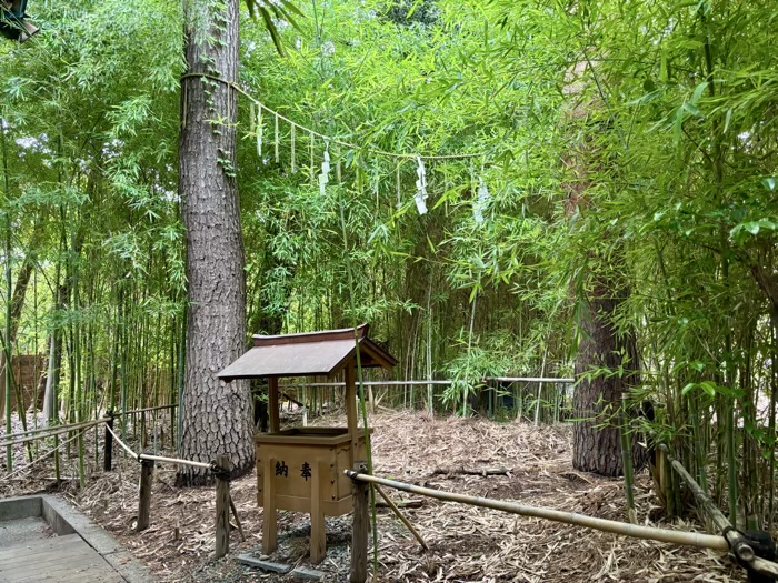 自由が丘熊野神社　夫婦松