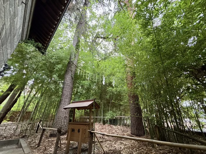 自由が丘熊野神社　夫婦松