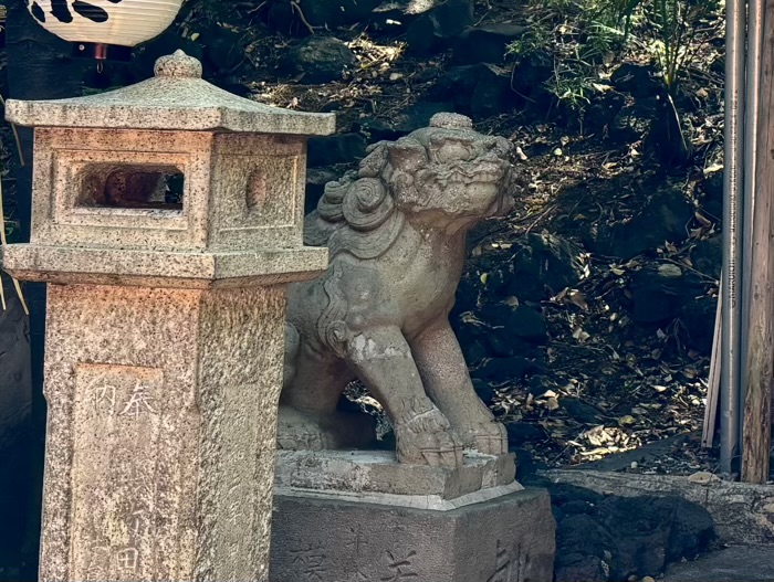 早稲田　水稲荷神社　富士祭り（富士塚）　浅間神社