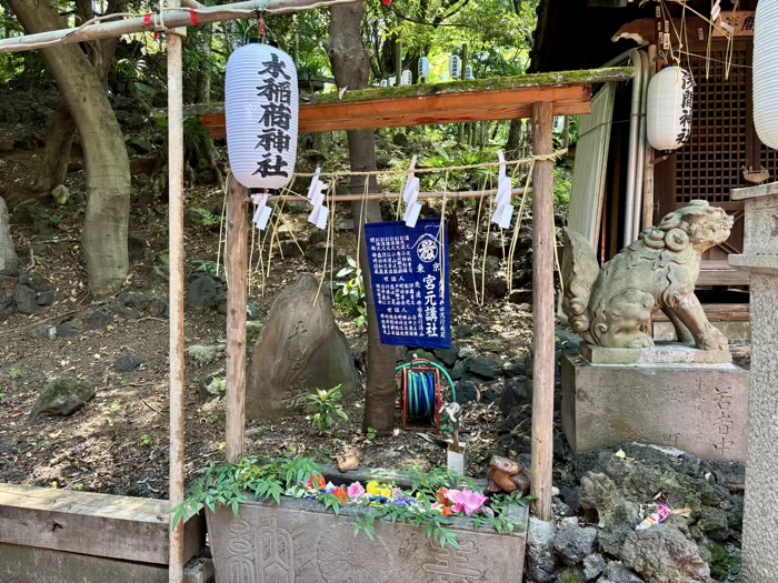 早稲田　水稲荷神社　富士祭り（富士塚）　浅間神社