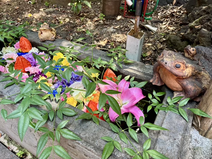 早稲田　水稲荷神社　富士祭り（富士塚）　浅間神社