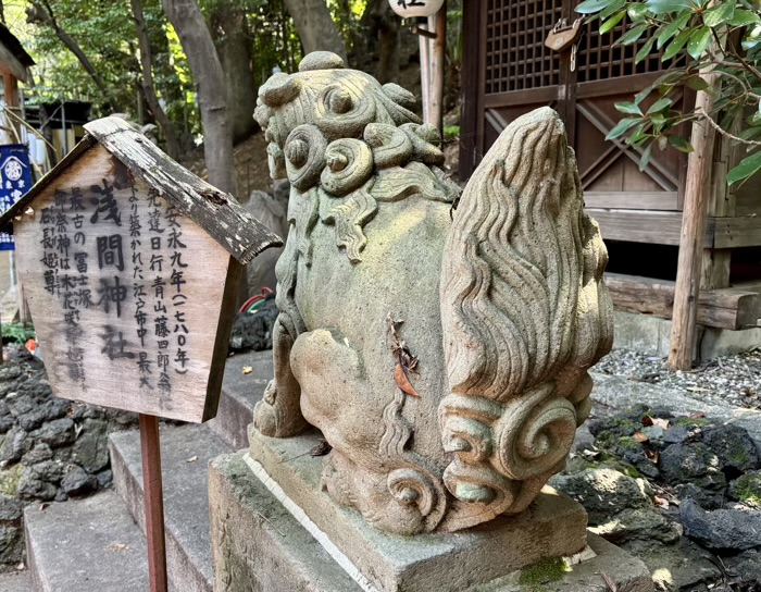 早稲田　水稲荷神社　富士祭り（富士塚）　浅間神社