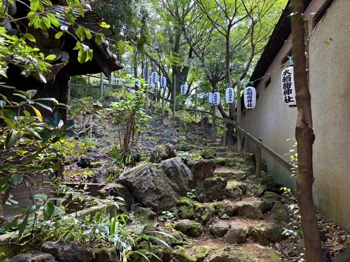 早稲田　水稲荷神社　富士祭り（富士塚）