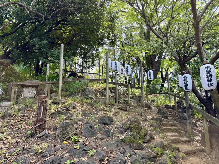 早稲田　水稲荷神社　富士祭り（富士塚）