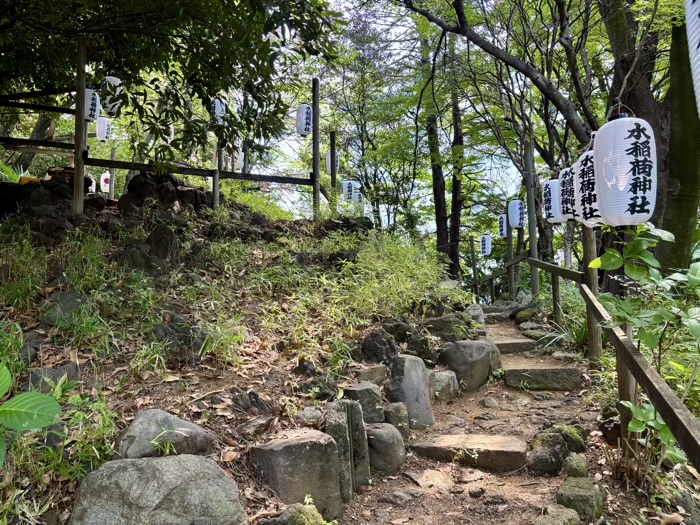 早稲田　水稲荷神社　富士祭り（富士塚）