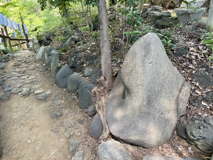 早稲田　水稲荷神社　富士祭り（富士塚）
