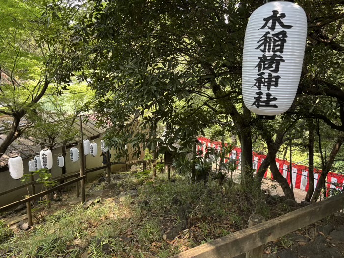 早稲田　水稲荷神社　富士祭り（富士塚）