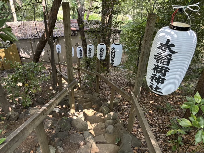早稲田　水稲荷神社　富士祭り（富士塚）　下山道