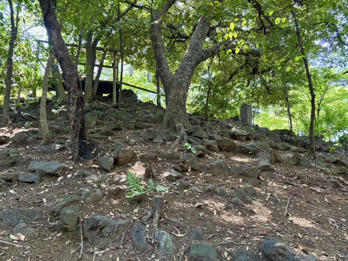 早稲田　水稲荷神社　富士祭り（富士塚）　下山道
