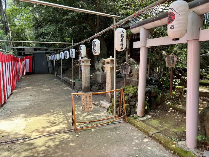 早稲田　水稲荷神社　富士祭り（富士塚）