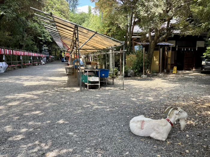 早稲田　水稲荷神社　富士祭り（富士塚）