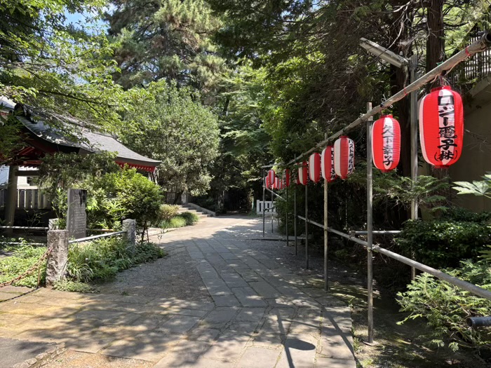 早稲田　水稲荷神社　富士祭り（富士塚）