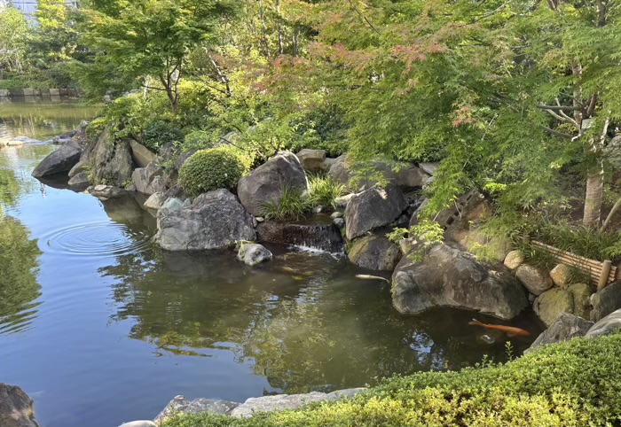 文京区　根津神社　舞姫の家