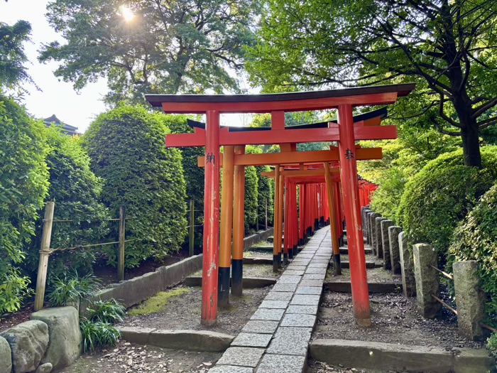 文京区 根津神社 夏詣