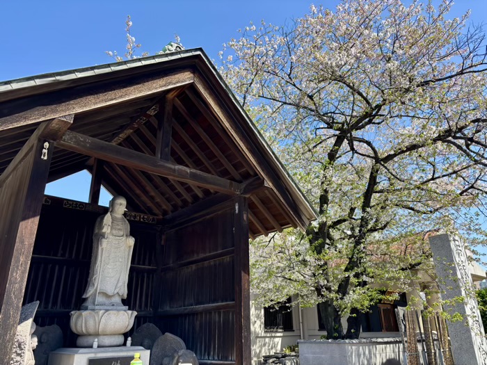 江東区 法苑山 浄心寺 観音堂