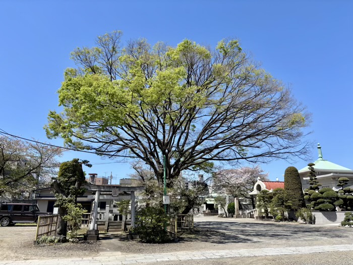 江東区 法苑山 浄心寺