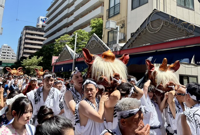 佃　住吉神社　例大祭　獅子頭巡幸