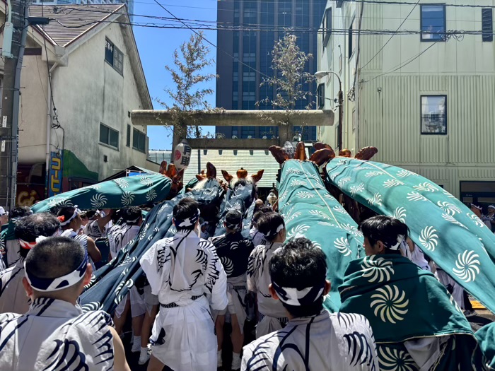 佃　住吉神社　例大祭　獅子頭巡幸