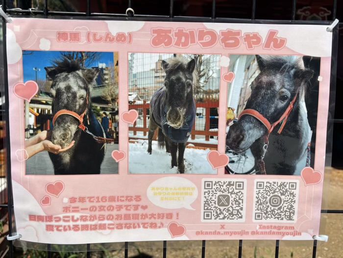 千代田区　神田明神（神田神社）　神馬「あかりちゃん」