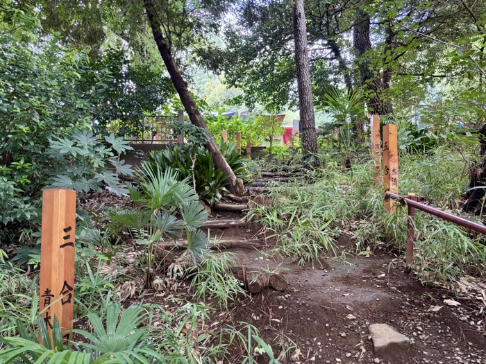 上目黒氷川神社　例大祭　目黒富士登山道