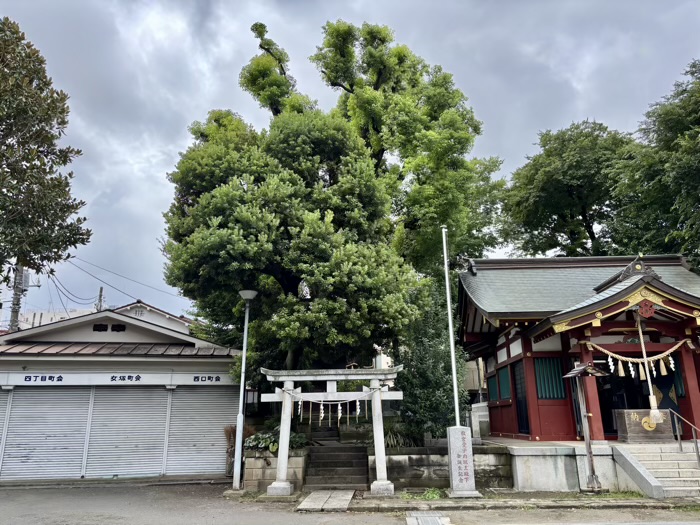 蒲田　女塚神社