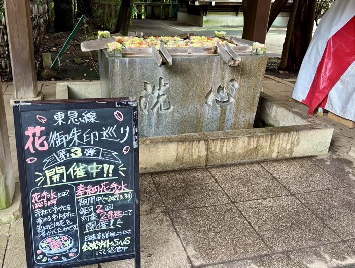 渋谷氷川神社 例大祭 奉納花手水