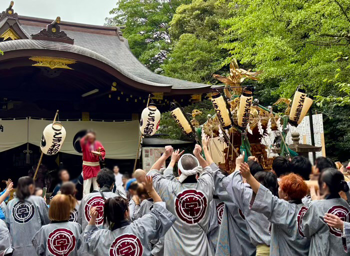 渋谷氷川神社 例大祭 町内神輿宮入