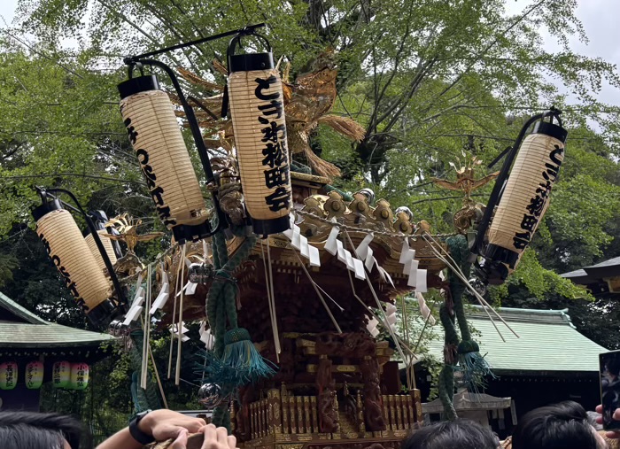 渋谷氷川神社 例大祭 町内神輿宮入