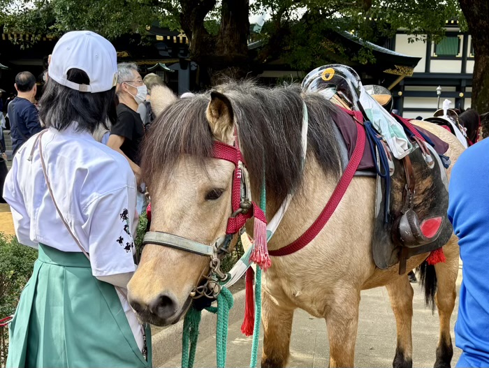 新宿　穴八幡宮　高田馬場流鏑馬