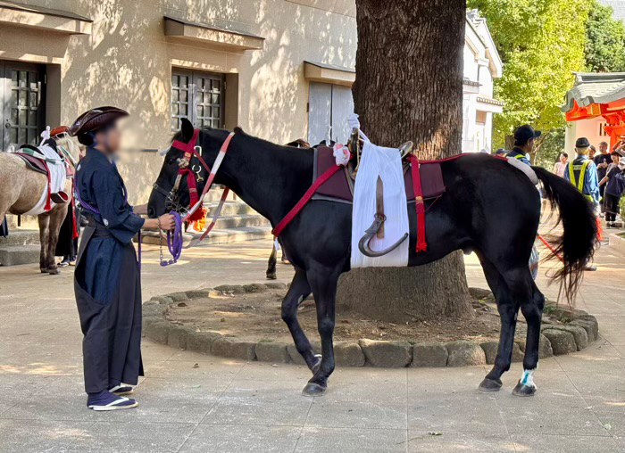 新宿　穴八幡宮　高田馬場流鏑馬