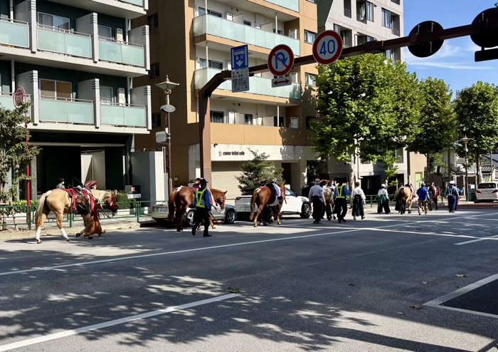 新宿　穴八幡宮　高田馬場流鏑馬